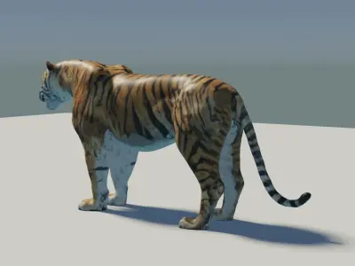 Tiger rigged 3D Model 3D model