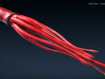 Giant Squid - 3DS Max Octane - FBX - Zbrush Low-poly 3D model