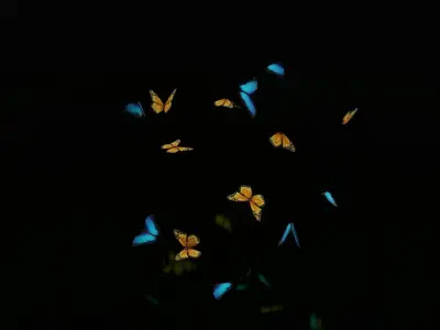 butterflies animation Low-poly 3D model