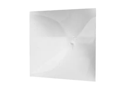 Phoenix Cluster 3D model