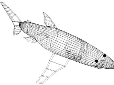 Shark - Blueshark 3D model