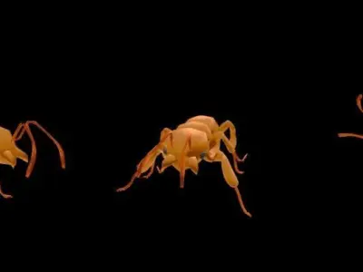Animated walking ant lowpoly Free low-poly 3D model