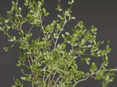 Decorative Branches vol 163 Blender Free low-poly 3D model