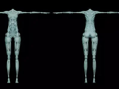 Cyborg Girl Skeleton - Fully Rigged 3D model