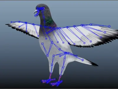 Realistic flying Pigeon - LOOP FLIGHT animations Low-poly 3D model