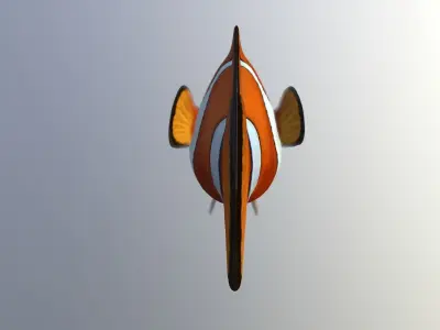 Clownfish High Detailed  3D model
