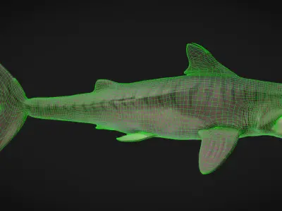 Helicorpion Low-poly 3D model