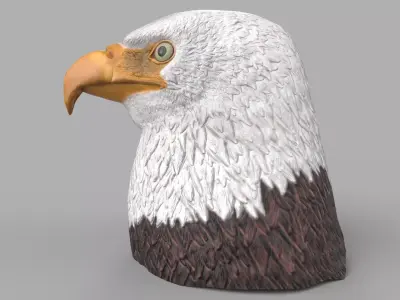 eagle head Low-poly 3D model