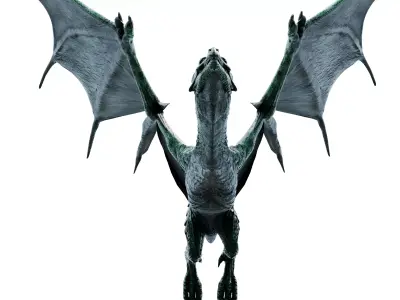 Dragon flying 3D model