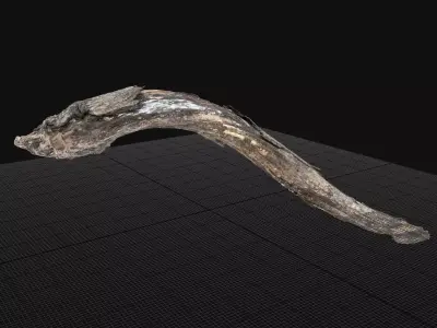 A piece of wood with bark 3d scan in highpoly 3D model