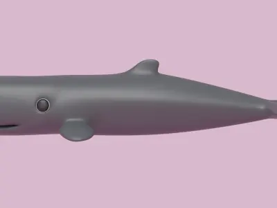 Cartoon Sperm Whale 3D model