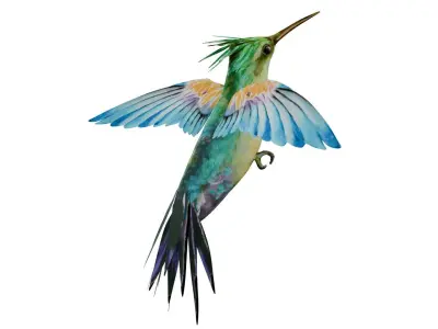 Humming Bird 3D model