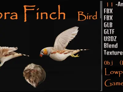 Zebra Finch Bird Low-poly 3D model