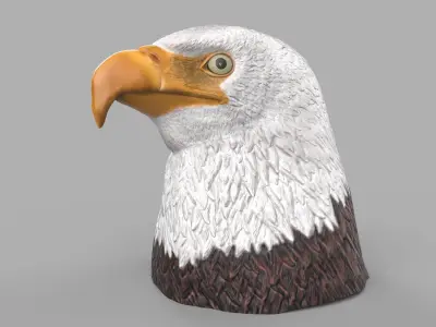 eagle head Low-poly 3D model