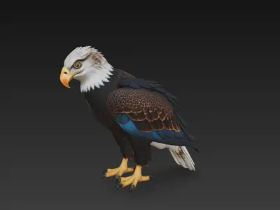 Eagle Realistic 3D Model - Low Poly Realistic Low-poly 3D model