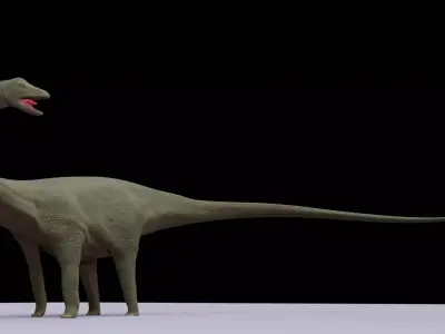 Diplodocus dinosaur 3D model