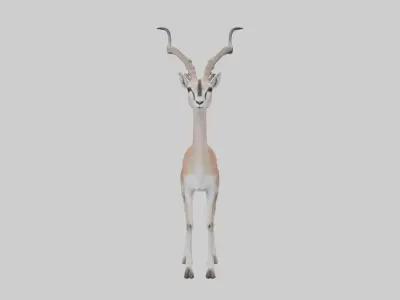 Soemmerrings gazelle Low-poly 3D model