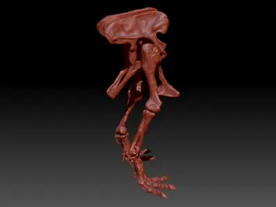 Dinosaur Giganotosaurus Hip Leg Set Skeletons 3D model