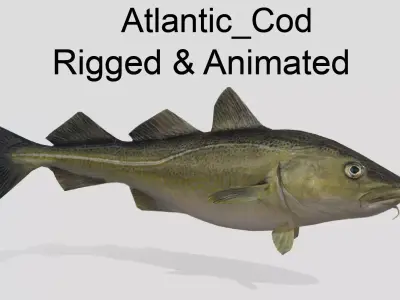 Atlantic-Cod Realistic Animated Low-poly 3D model
