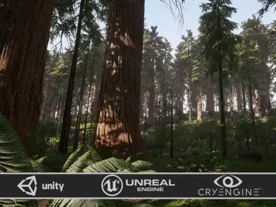 Redwood forest for game ready Low-poly 3D model