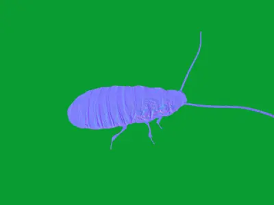 Madagascar Hissing Cockroach Low-poly 3D model