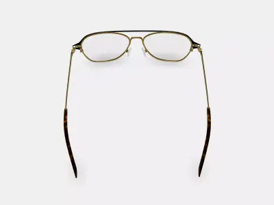 Corson Eyeglasses in Jet Black with Polished Gold 3D model