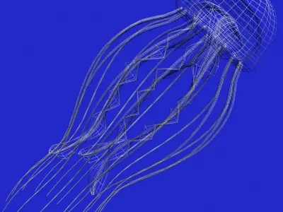 Jellyfish Rigged Low-poly 3D model