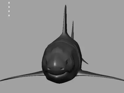 Shark AAA Low-poly 3D model