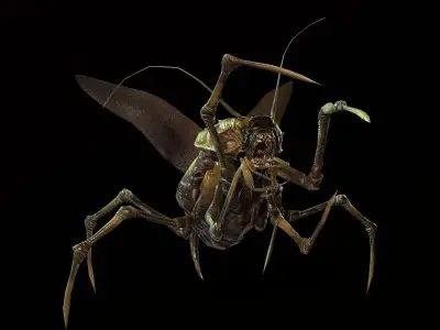 Land Bug 1 Low-poly 3D model