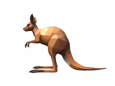 A Kangaroo 3D model