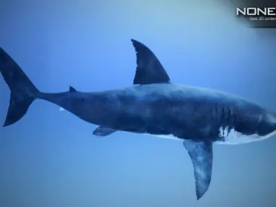 Great White Shark v2 Unity Low-poly 3D model