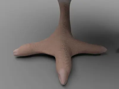 Chicken Low-poly 3D model