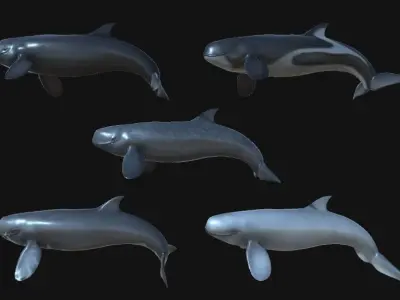 Livyatan Asset Pack Low-poly 3D model