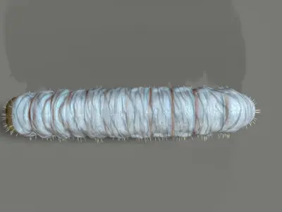 Caterpillar Low-poly 3D model