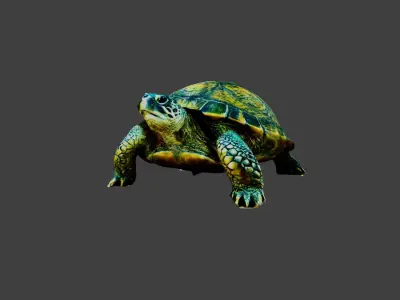 Turtle - Tortoise Low-poly 3D model