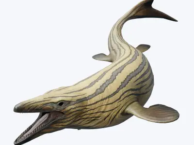 Mosasaurus Asset Pack Low-poly 3D model