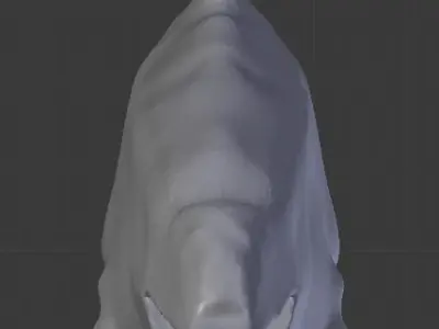 Dolphin Delfin Base 3D model