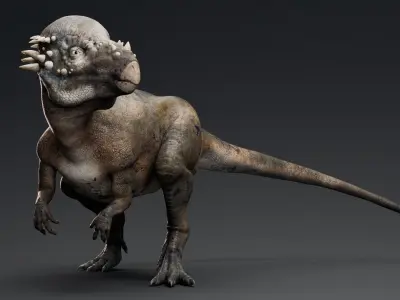 Dinosaur Pachycephalosaurus Low-poly 3D model