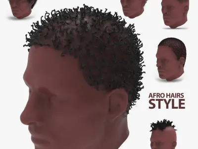 6 Afro Haircut Style 3D model