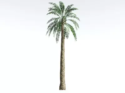 EVERYPlant Date Palm LowPoly 3 --16 Models-- Low-poly 3D model