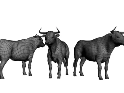 Bull Mesh 3D model