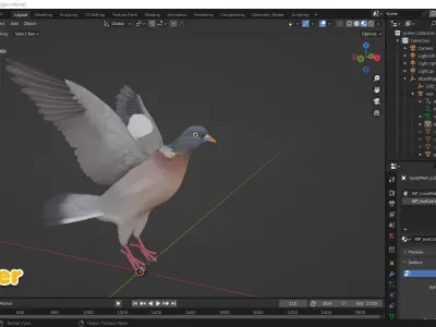 Realistic Animated Wood Pigeon Low-poly 3D model