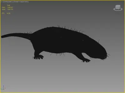 Mole Rat 3D model