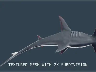 Hammerhead Shark Low-poly 3D model