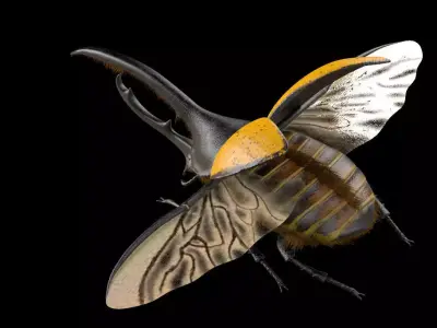 Hercules Beetle Insect Low-poly 3D model