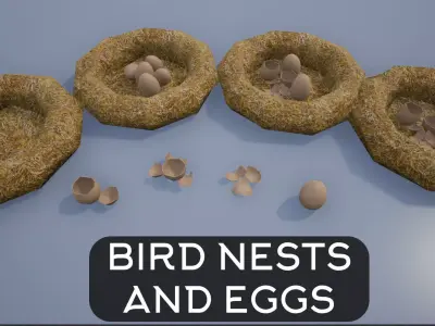 Birdnests and Eggs hatched and remains Low-poly 3D model