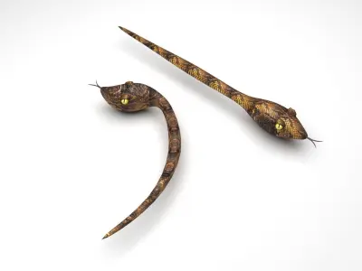 Snake With Straight Snake 3D model