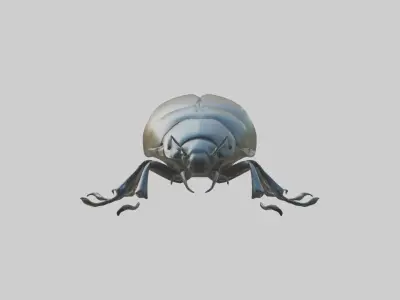 Beetle Model 1 Low-poly 3D model