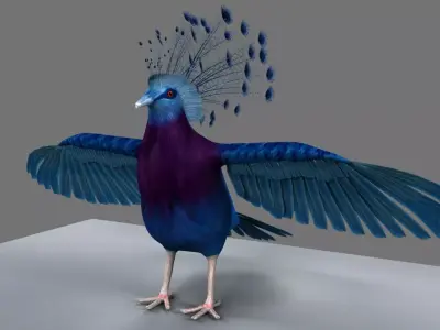 Victoria Crowned Pigeon 3D model