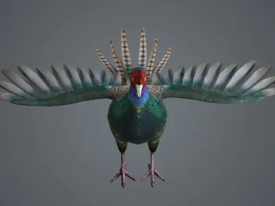 pheasant bird feathers feather birds animals  nature 3D model